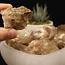 Congo Citrine (Kundalini Quartz) Clusters - Medium Rough Raw Natural