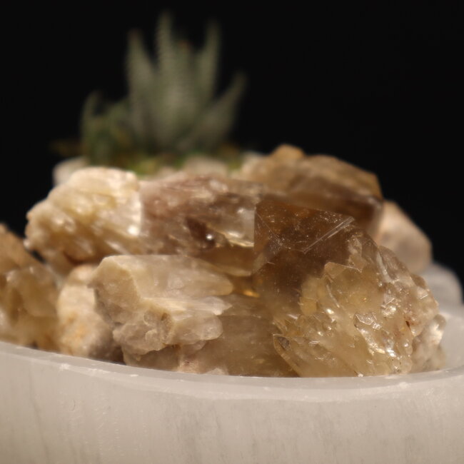 Congo Citrine (Kundalini Quartz) Clusters - Medium Rough Raw Natural