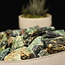 Kyanite with Green Fuchsite Rough/Raw/Natural