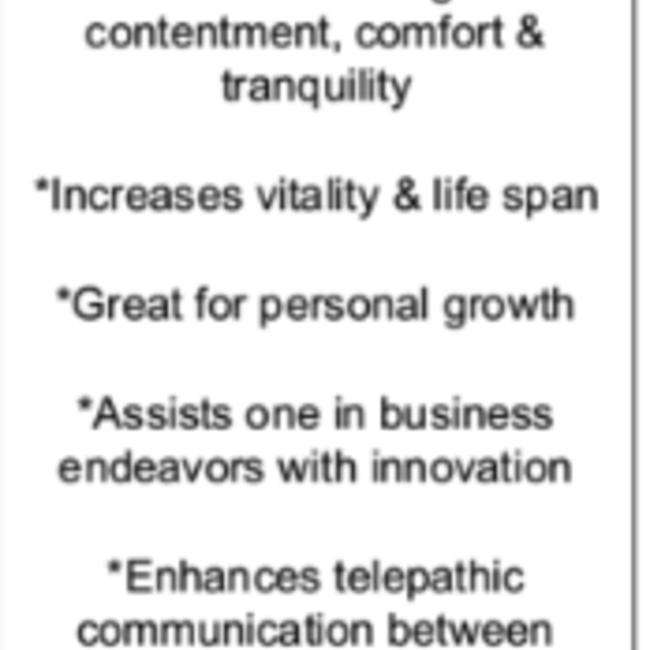 Sand Dollar Fossil-3"-4"