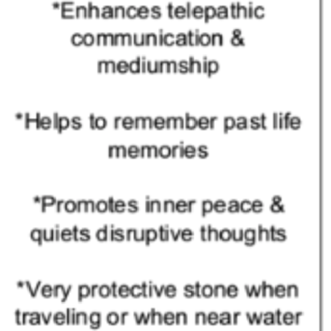 Fossilized Fossil Coral Palm Pillow Pocket Stone