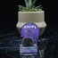 Amethyst Spheres Orb Globe - 40-45mm