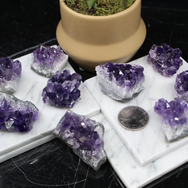 Amethyst Cluster Druzy Small - Rough Raw Natural