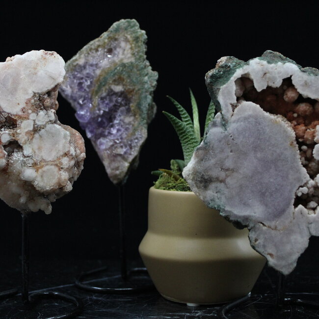 Rose Pink Amethyst on Pin Stand - Large - Rough Raw Natural