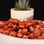 Red Jasper Mushrooms - Mini