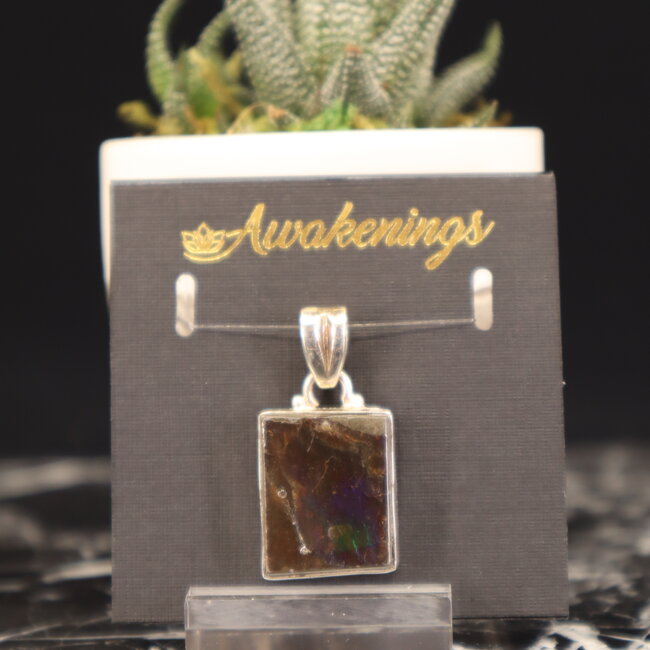 Ammolite Pendant #1