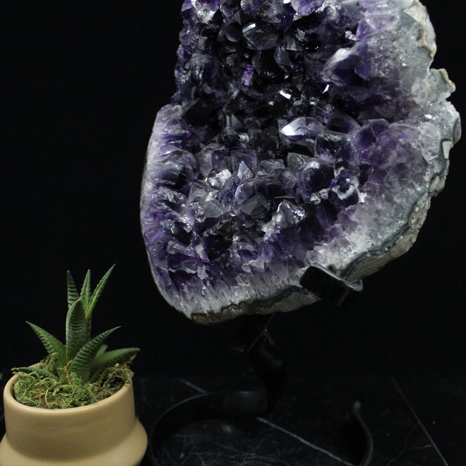 Amethyst Cluster Druzy on Stand-32" Tall
