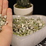 Peridot Small - Rough Raw Natural