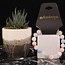 Mixed Pastel Morganite Bracelets - 5-6mm Multi Colored