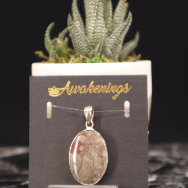 Crazy Lace Agate Pendant-Oval Sterling Silver