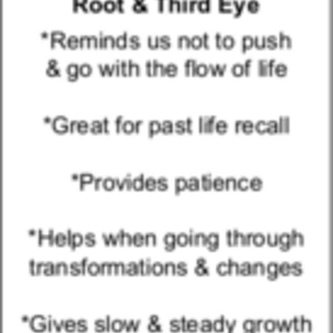 Petrified Wood Pendants - Tumbled