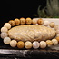 Fossilized Fossil Coral Bracelets - 8mm