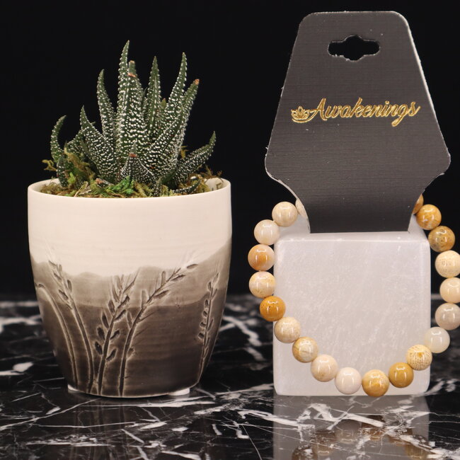 Fossilized Fossil Coral Bracelets - 8mm