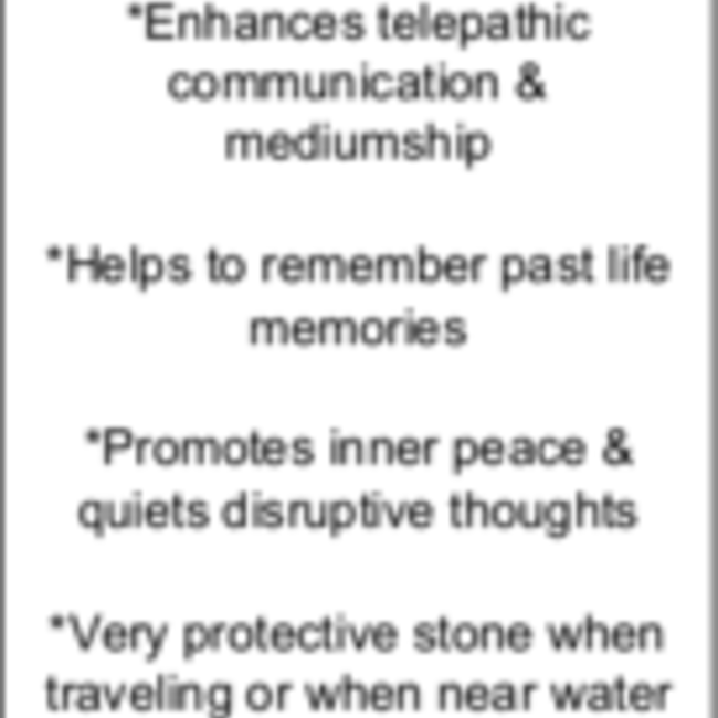 Fossilized Fossil Coral Bracelets - 8mm