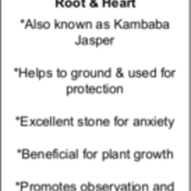 Crocodile (Kambaba) Jasper (Green Stromatolite) Bracelets - 4mm Mini