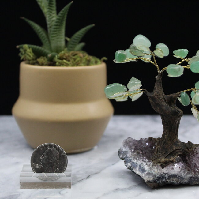 Green Aventurine Bonsai Tree on Amethyst - 3-4" Small