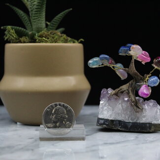 Pink Agate (Dyed) Bonsai Tree on Amethyst - 3"