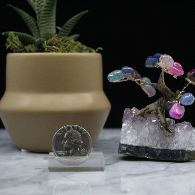 Pink Agate (Dyed) Bonsai Tree on Amethyst - 3"
