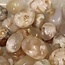 Flower Agate (Cherry Blossom) - Tumbled