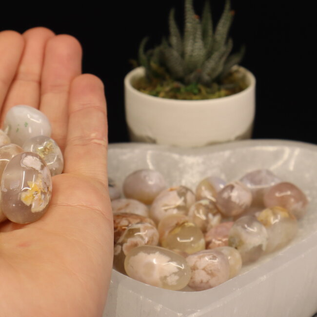 Flower Agate (Cherry Blossom) - Tumbled