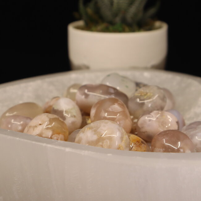 Flower Agate (Cherry Blossom) - Tumbled