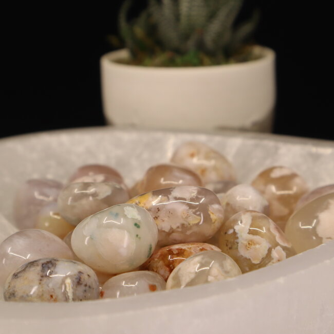 Flower Agate (Cherry Blossom) - Tumbled