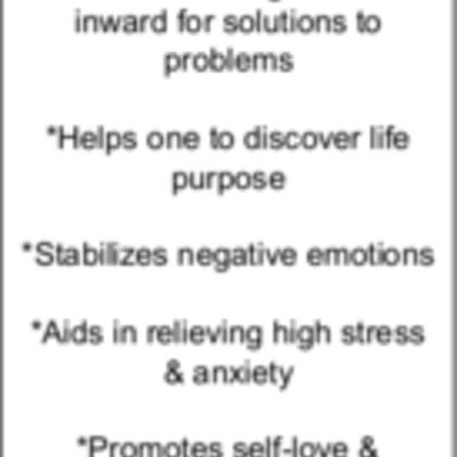 Eudialyte Pendant Rectangle Sterling Silver