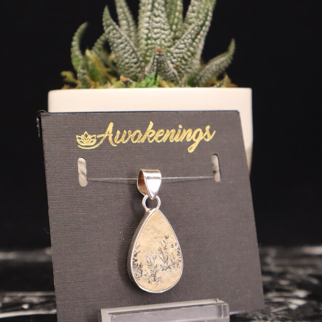 Scenic Dendric Agate Pendant #1