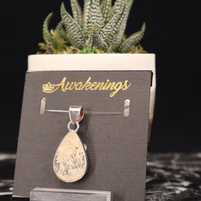 Scenic Dendric Agate Pendant #1