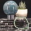 Green Moss Agate Bracelets - 4mm Mini