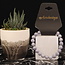 Iolite (Water Sapphire) Bracelets -7 - 8mm
