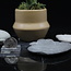 Fairy Stones (Goddess Stone) - Large (4"+) - Rough Raw Natural Fae