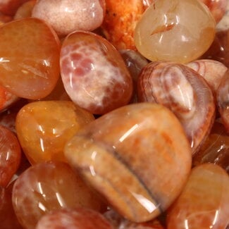 Red Fire Agate - Tumbled