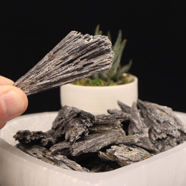 Black Kyanite Fan (1-2.5") - Rough Raw Natural