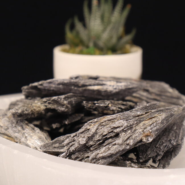 Black Kyanite Fan (1-2.5") - Rough Raw Natural