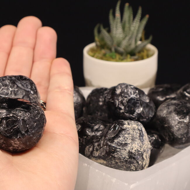 Apache Tears XL - Rough Raw Natural