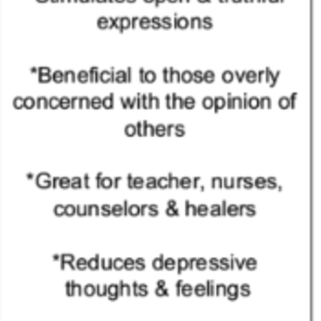 Amazonite Palm Pillow Stone -Medium