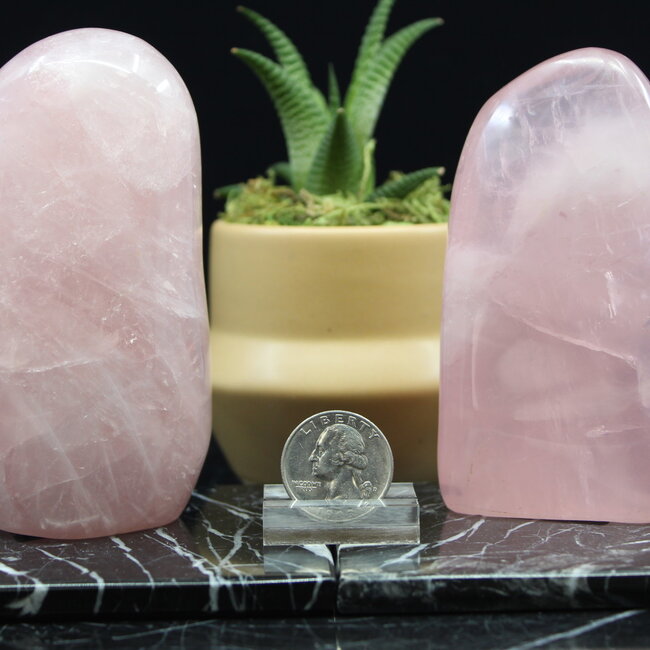 Rose Quartz Free Form - Medium