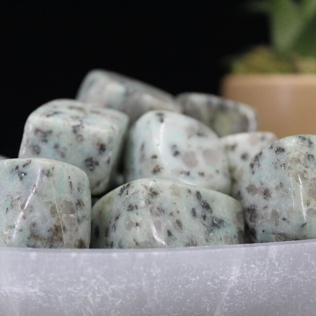 Kiwi Jasper (Amazon River Stone Sesame) Cubes 1"