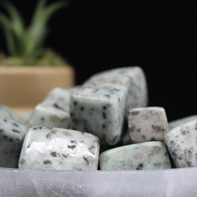 Kiwi Jasper (Amazon River Stone Sesame) Cubes 1"