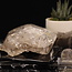 Herkimer Diamond Specimen #14 - Rough Raw Natural Rainbow Inclusion Cluster Point