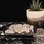Herkimer Diamond Large - Rough Raw Natural 'Tumbled"