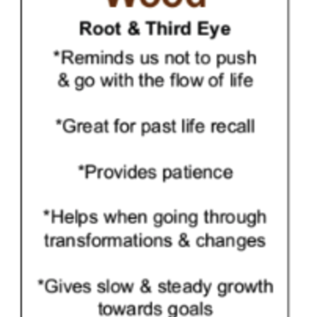 Petrified Wood - Rough Raw Natural