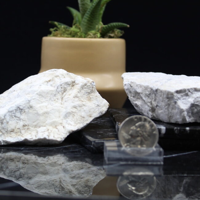 White Howlite (Magnesite) Large - Rough Raw Natural