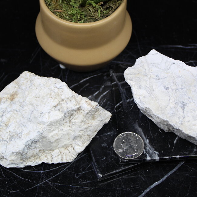 White Howlite (Magnesite) Large - Rough Raw Natural