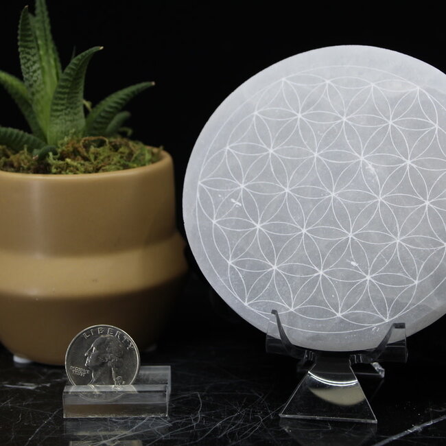 Selenite (Satin Spar Gypsum) Charging Disks Plates Station - 6" Round Circle Flower Seed of Life Medium