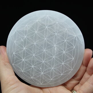 Selenite (Satin Spar Gypsum) Charging Disks Plates Station - 6" Round Circle Flower Seed of Life Medium