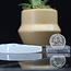 Selenite (Satin Spar Gypsum) Charging Disks Plates - Seed Flower of Life Crescent Moon Medium Geometric