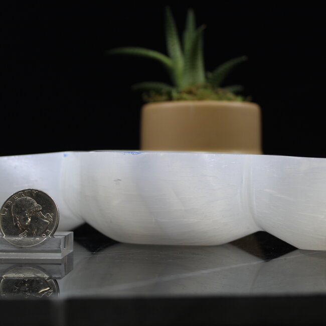 Selenite (Satin Spar Gypsum) Charging Bowl Dish - 5.5" Triple Moon Small