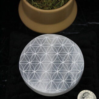 Selenite (Satin Spar Gypsum) Charging Plate - Small Flower of Life Circular